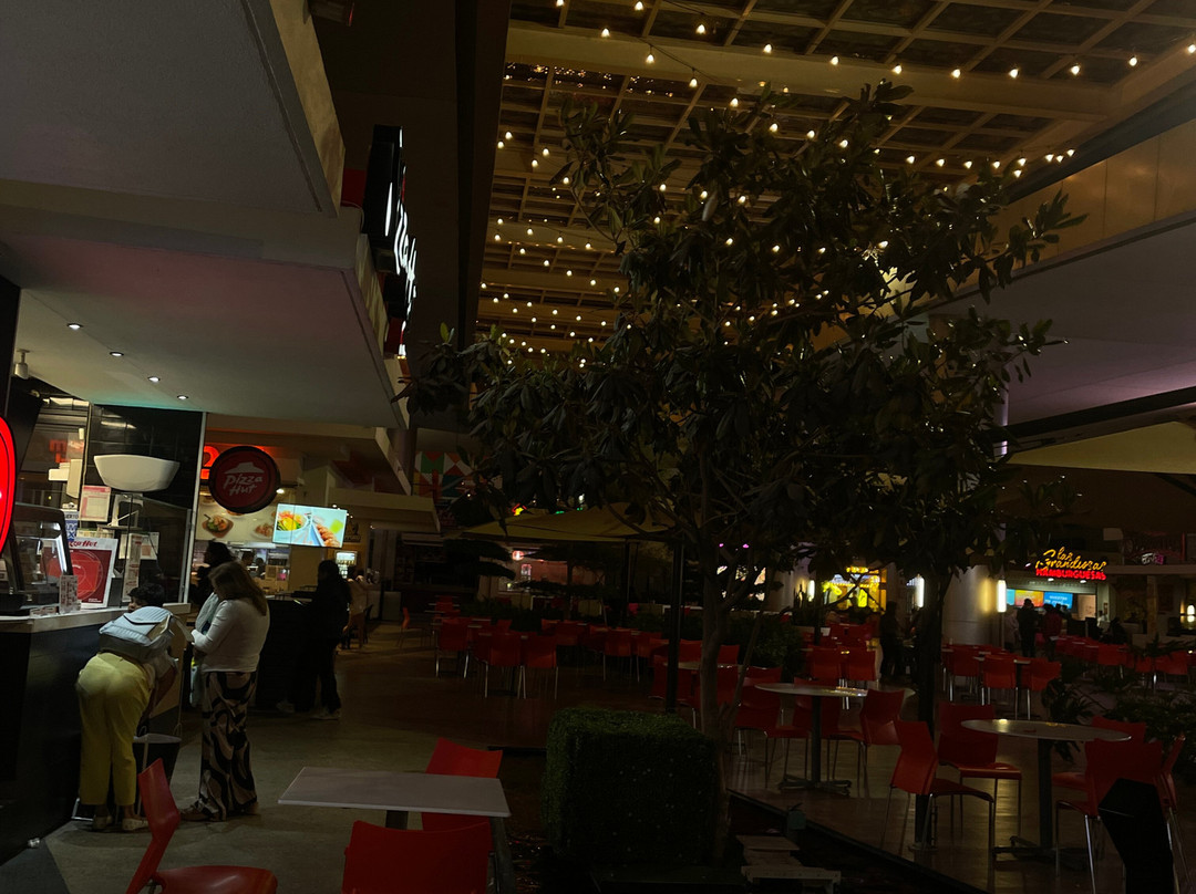 Centro Comercial Altacia-利昂必去景点
