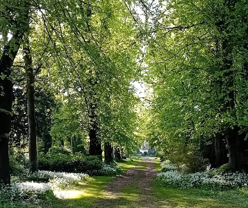 Whalley Abbey-Whalley必去景点
