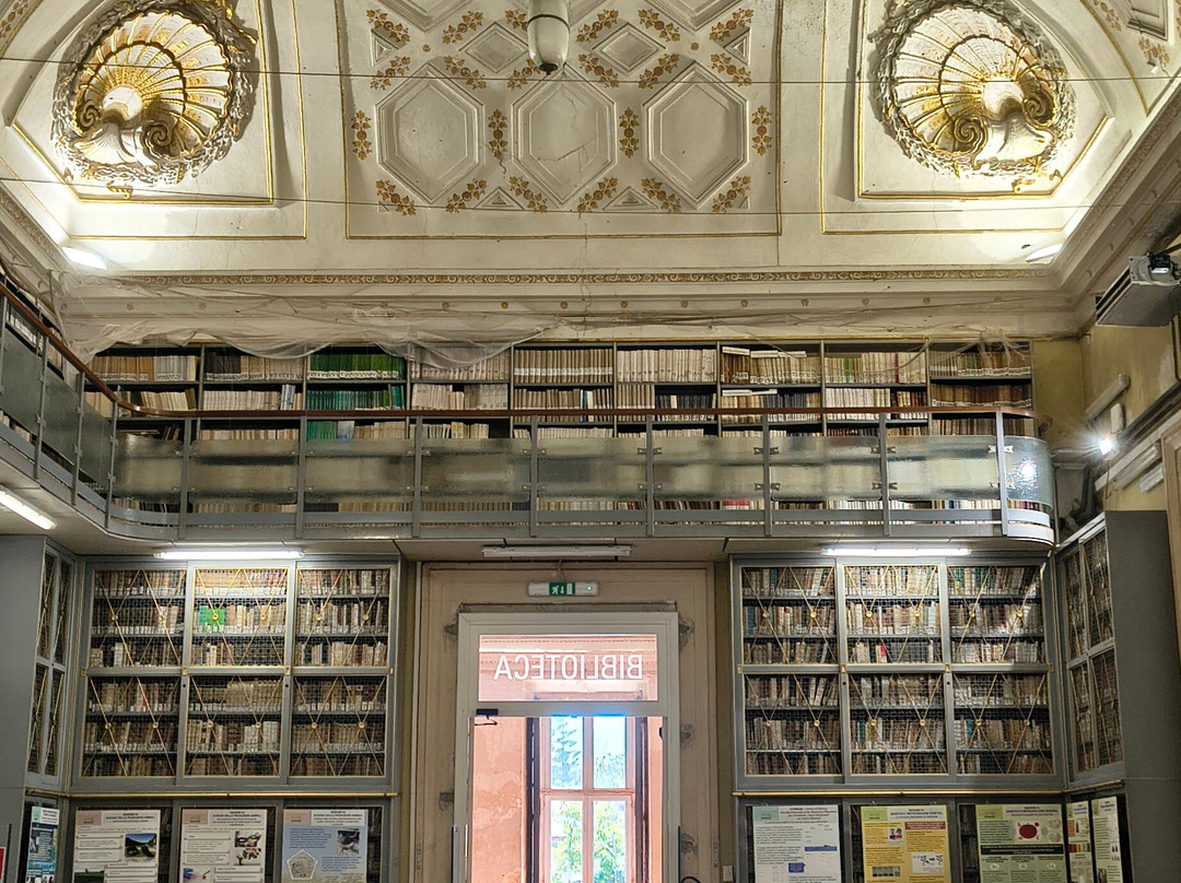 Reggia di Portici Herculanense Museum-Portici必去景点