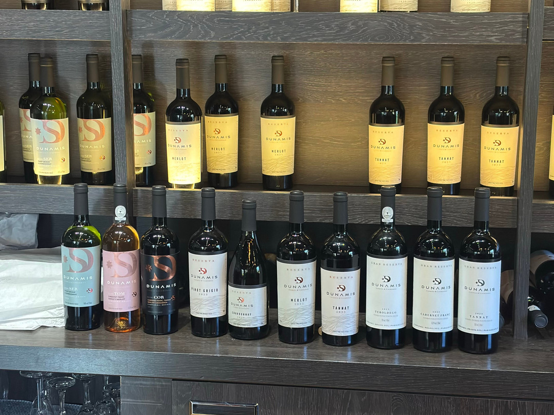 Loja - Dunamis Vinhos & Vinhedos-格拉玛多必去景点