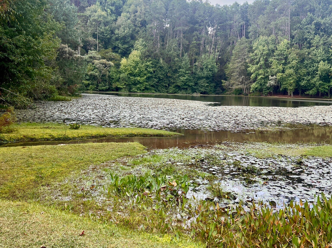 Parque Bambui-坎普斯－杜若尔当必去景点
