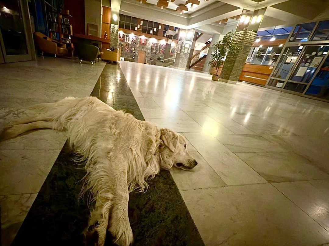 帕拉普鲁迪亚酒店主图