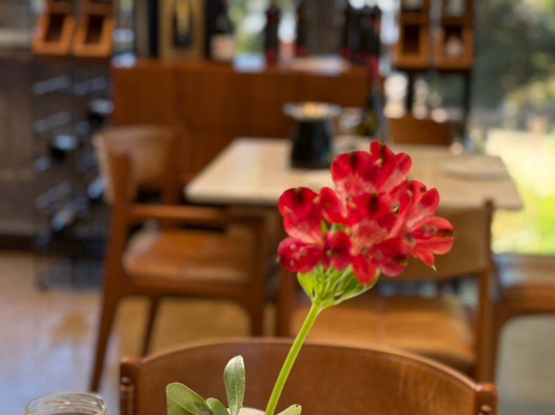 Lidio Carraro Vinícola Boutique-本图贡萨尔维斯必去景点