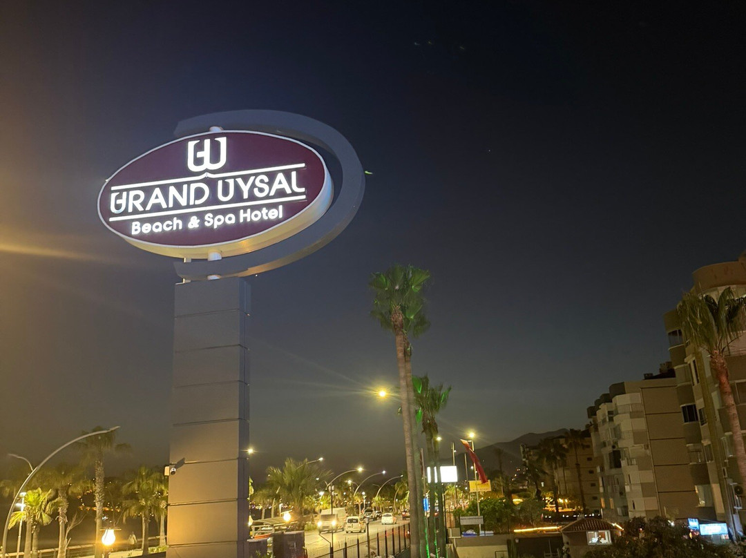 大阿似博海滩和水疗酒店 - 全包主图