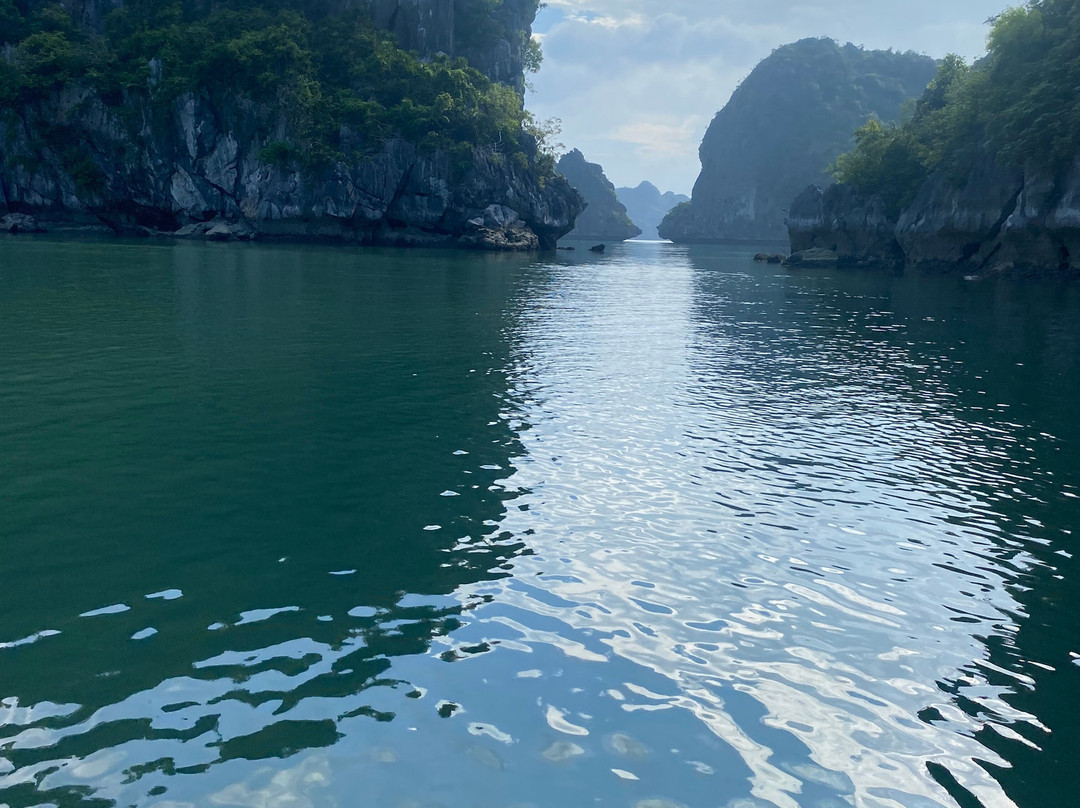 Verdure Lotus Cruises-团洲岛必去景点