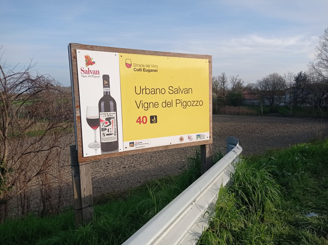 Cantina Salvan - Vigne Del Pigozzo