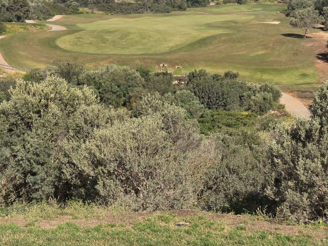 The Crete Golf Club-赫索尼索斯必去景点