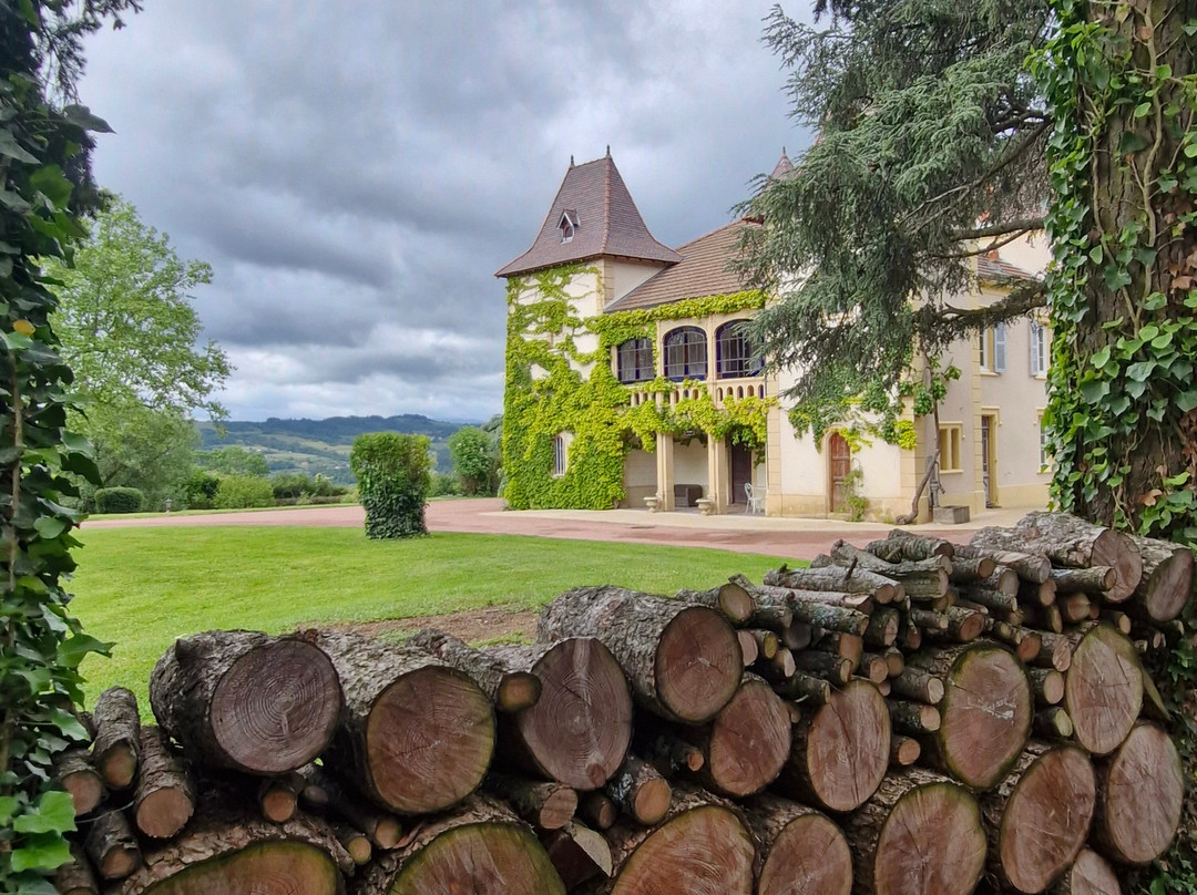 Domaine des Grands Cèdres主图