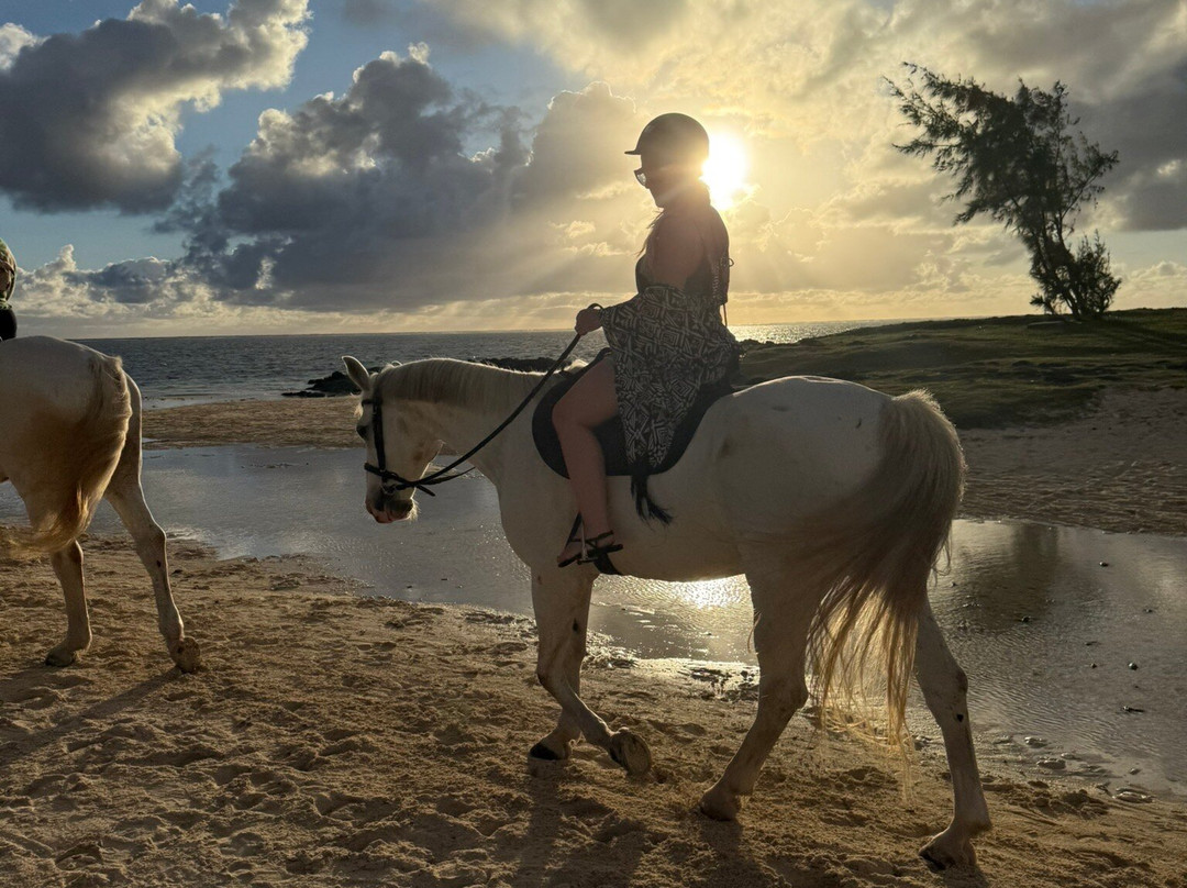 Legasea Stables Mauritius-Quatre Cocos必去景点