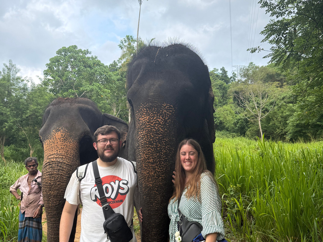 Elephant Freedom Project-凯格勒 必去景点