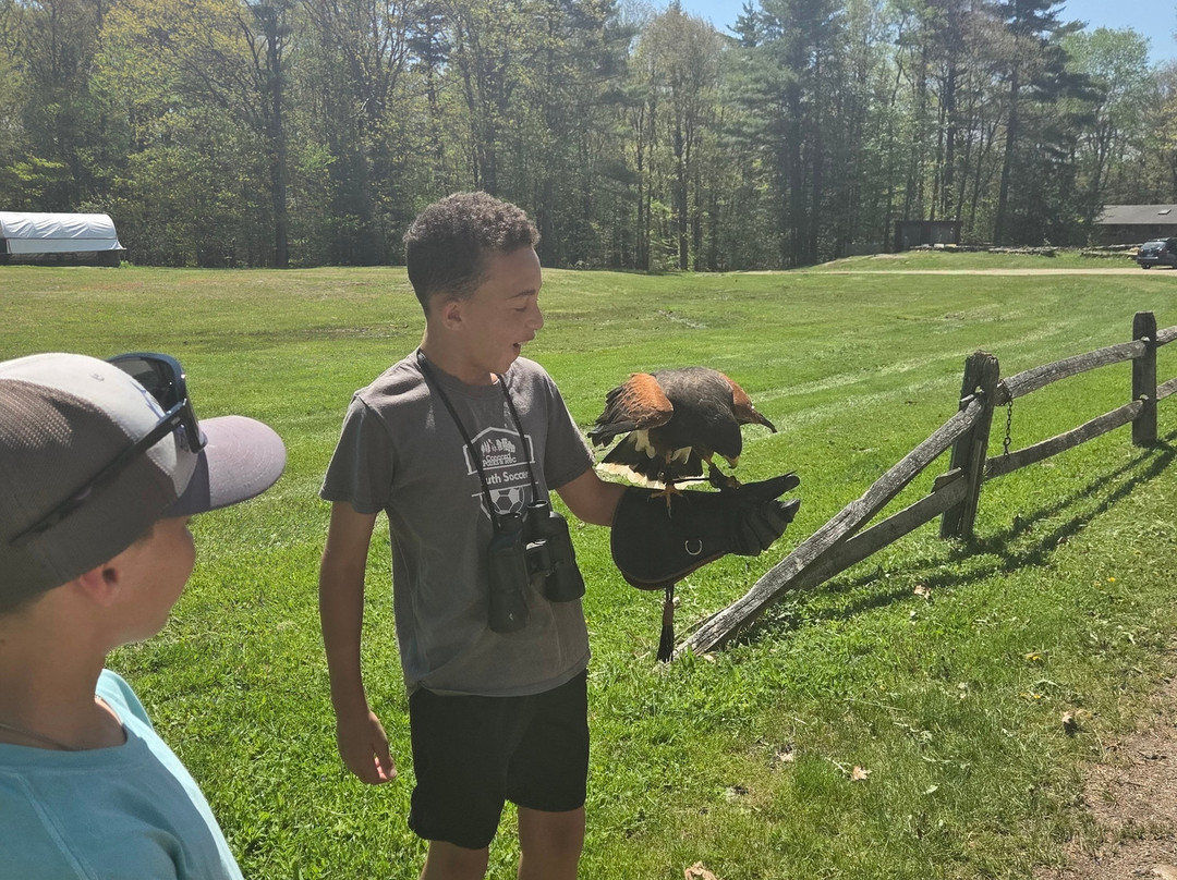 Monadnock Falconry-Temple必去景点