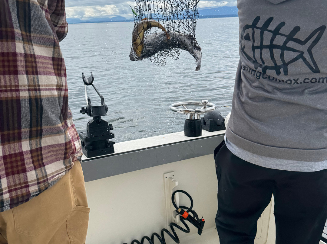 Island Pursuit Sport Fishing-Comox必去景点