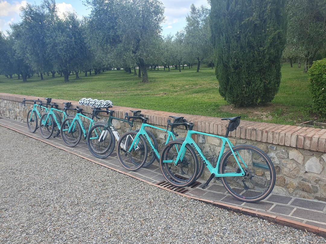 Siena Bike Shop-锡耶纳必去景点