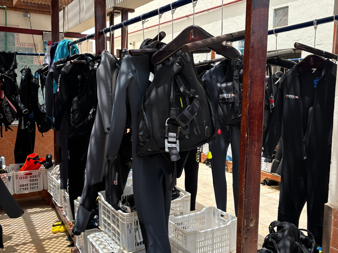 ORCA Dive Club Soma Bay-索马湾必去景点