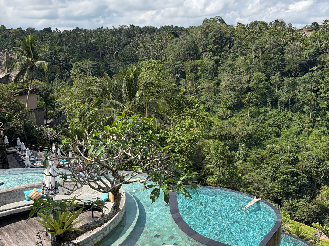 Wanna Jungle Pool and Bar-佩艳艮必去景点