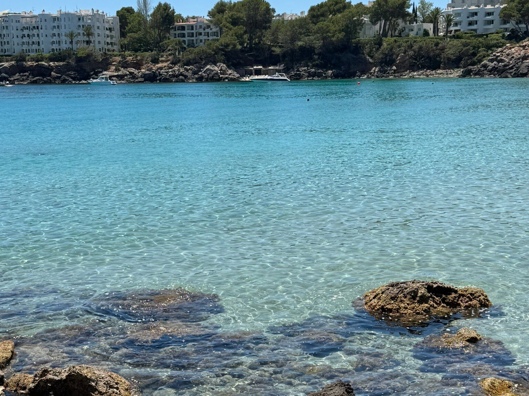 Cala Llenya-伊维萨城区必去景点