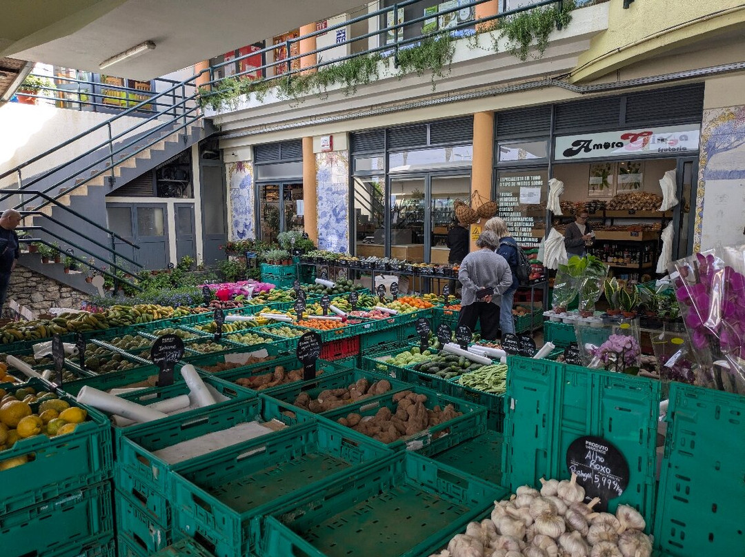 Mercado Municipal da Ribeira Brava-里贝拉布拉瓦必去景点
