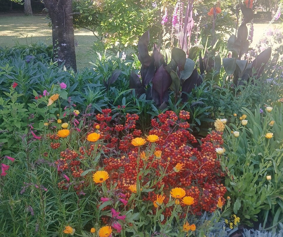 Palheiro Gardens-沙尔必去景点