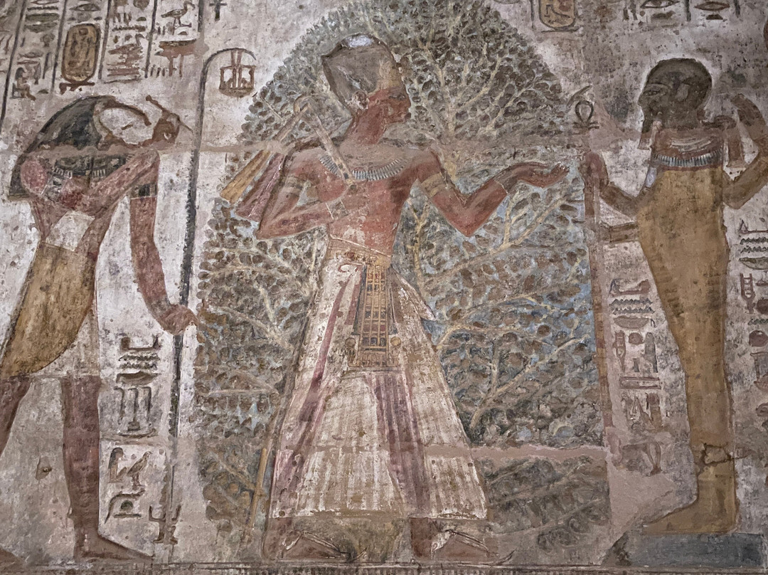 El_bagoushy Tours-Aswan 1必去景点