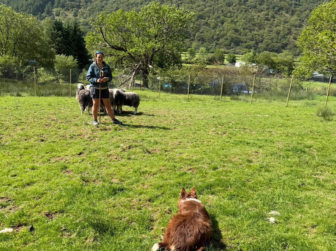 Cragg House Farm-Buttermere必去景点