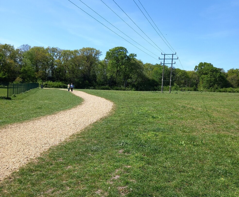 Upton Country Park-普尔必去景点