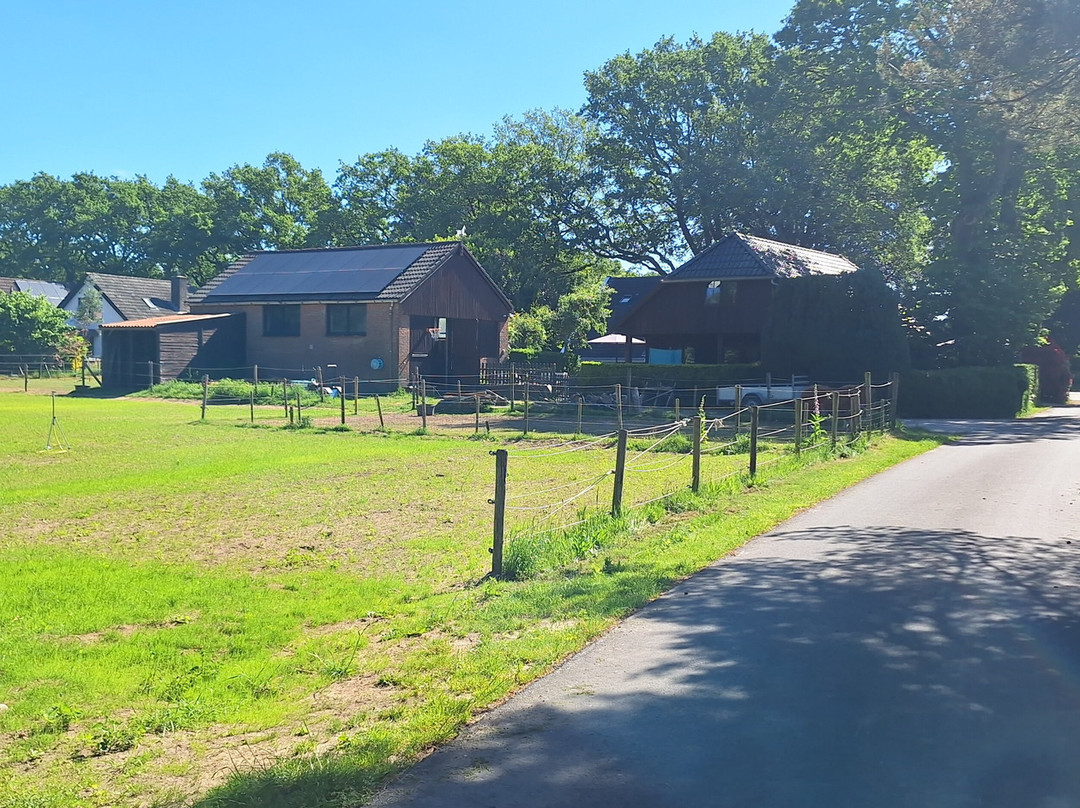 B&B de Drentse Es
