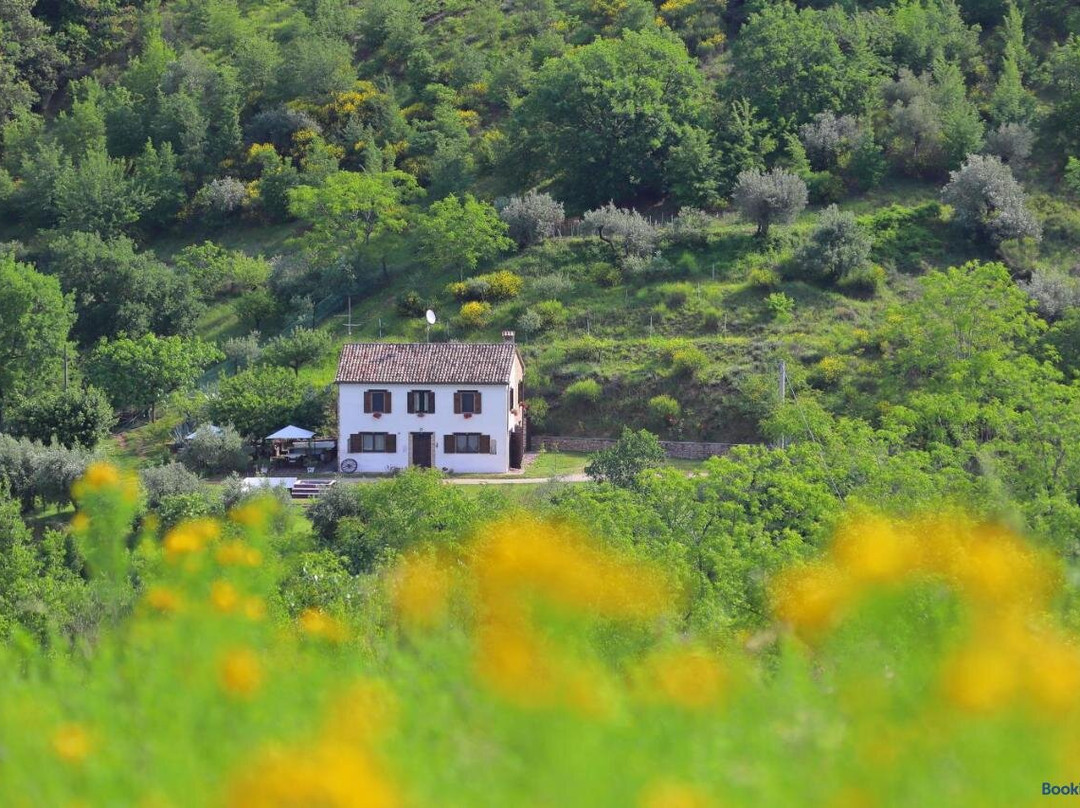 Podere Le Serre