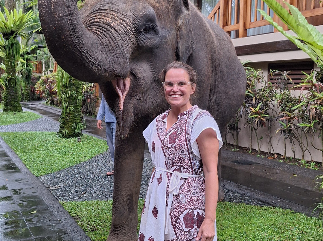 Bali Elephant Park-登巴萨必去景点