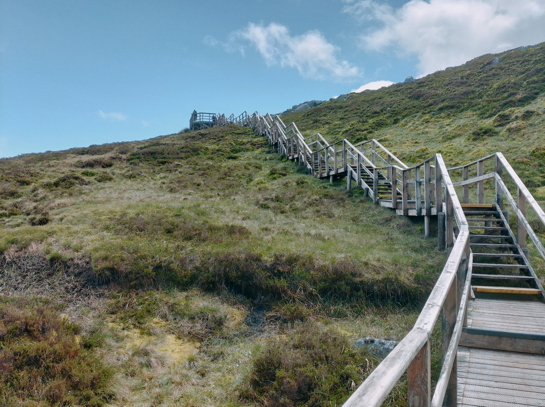 Cuilcagh Boardwalk Trail (Stairway to Heaven)-恩尼斯基林必去景点