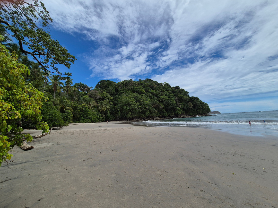 SimbiOsa Wild Costa Rica-哥斯达黎加安东尼奥国家公园必去景点
