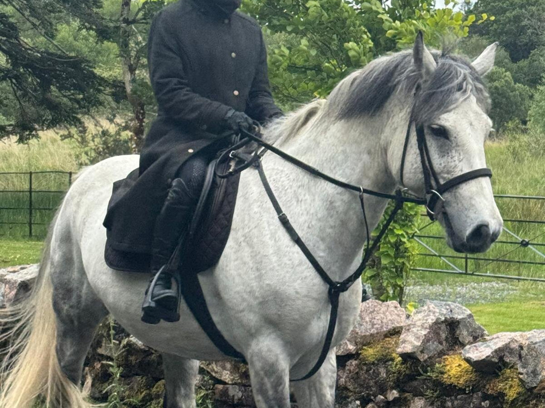 Connemara Equestrian Escapes-Moycullen必去景点