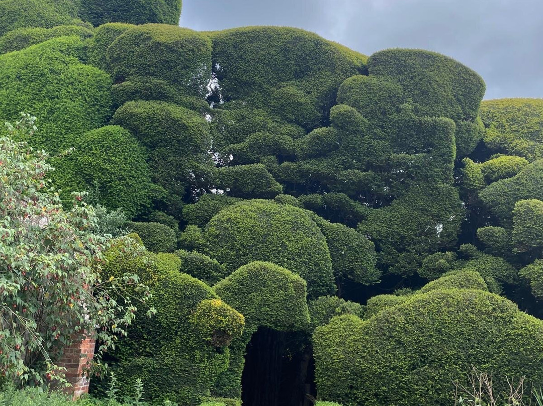 Powis Castle and Garden-Welshpool必去景点