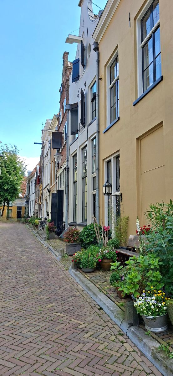 The River Suites-旅行者