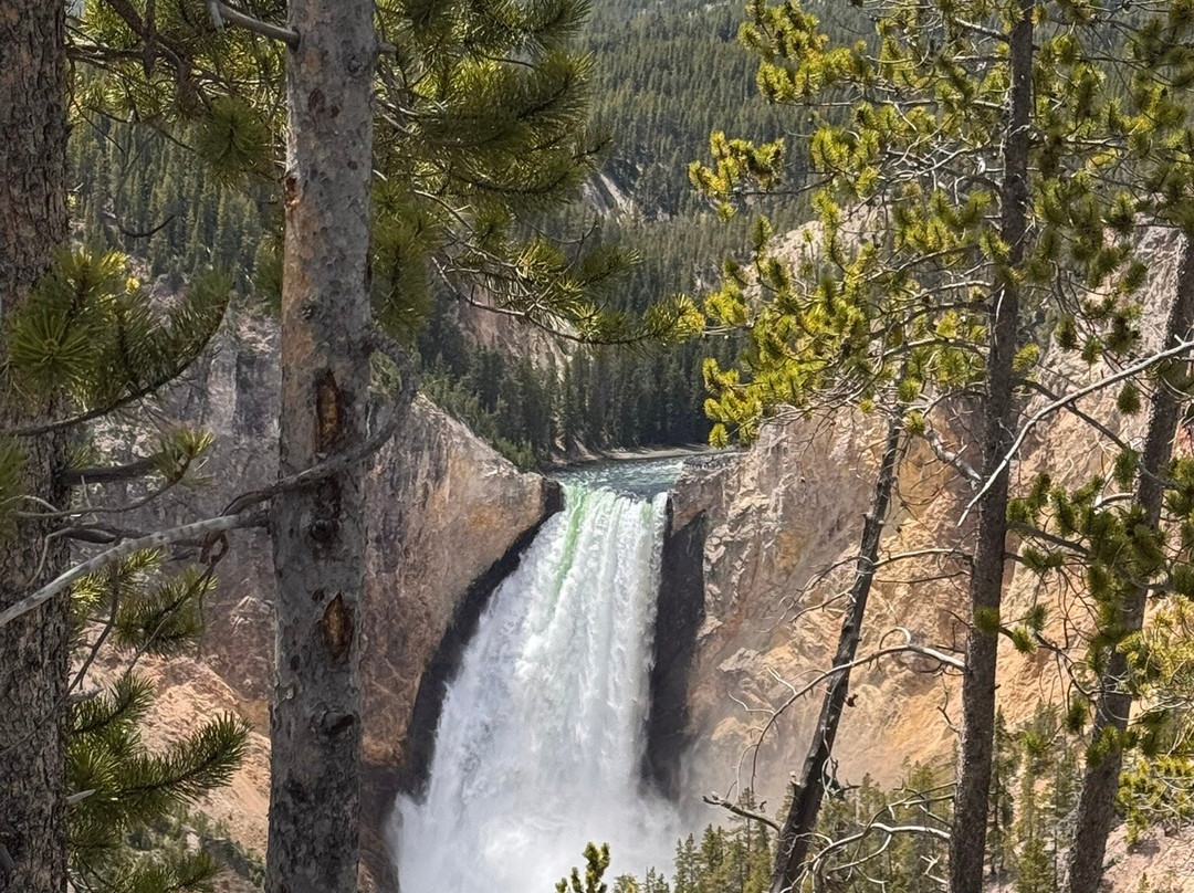 Jackson Hole Eco Tour Adventures-杰克逊必去景点