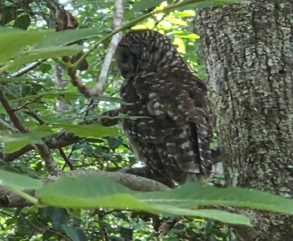Congaree National Park-Hopkins必去景点