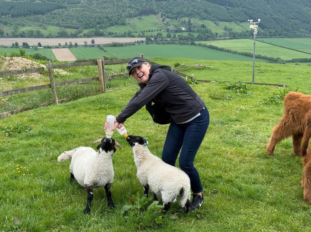 Lurgan Farm-Aberfeldy必去景点