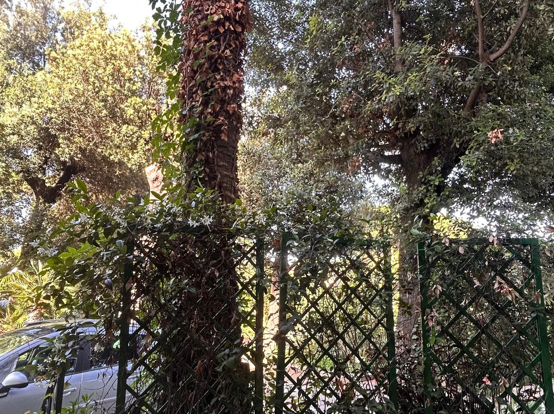 卡西纳格祖塔住宿加早餐旅馆主图