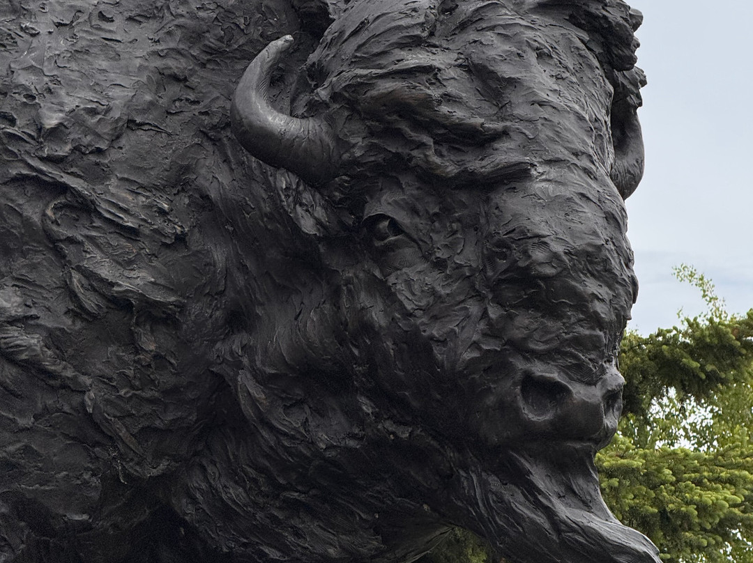 National Museum of Wildlife Art-杰克逊必去景点