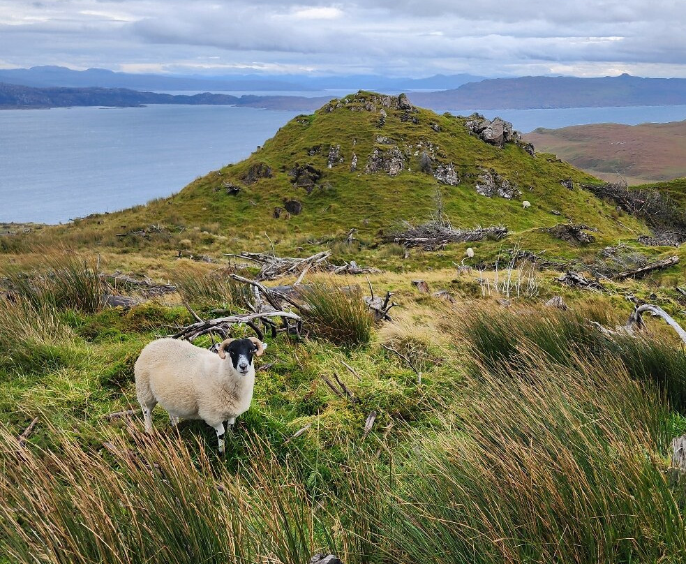 The Old Man of Storr-斯凯岛必去景点