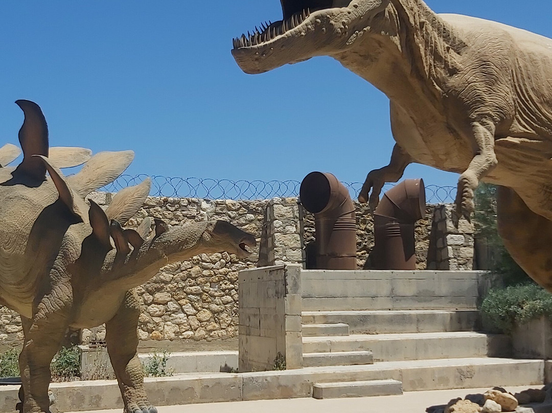 The Natural History Museum of Crete-伊拉克利翁必去景点
