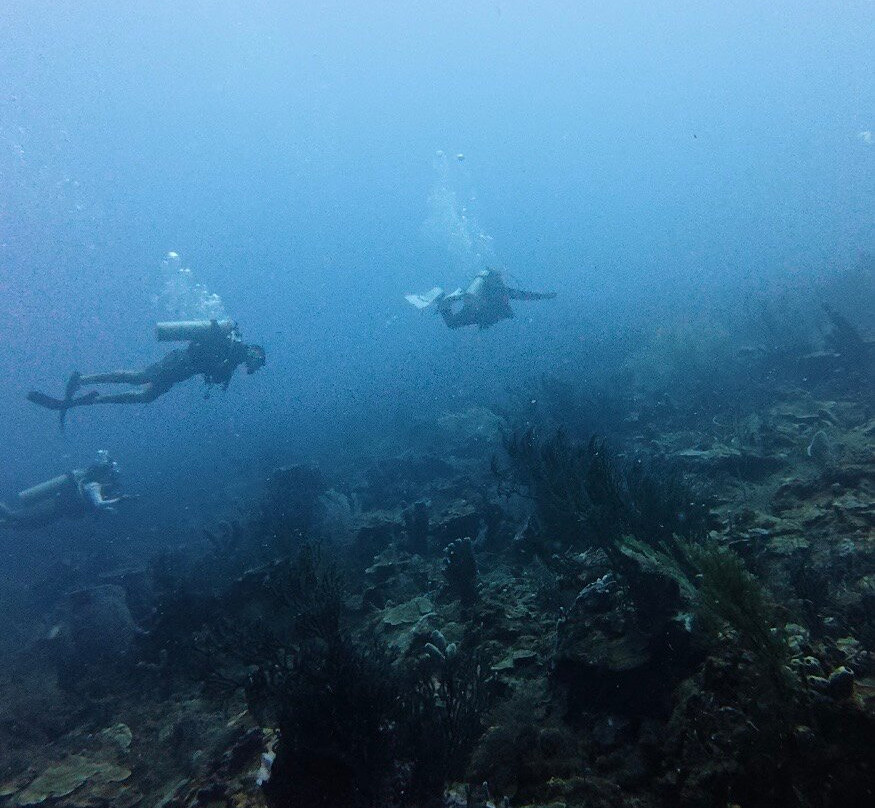 Nautilus Isla Fuerte-Isla Fuerte必去景点