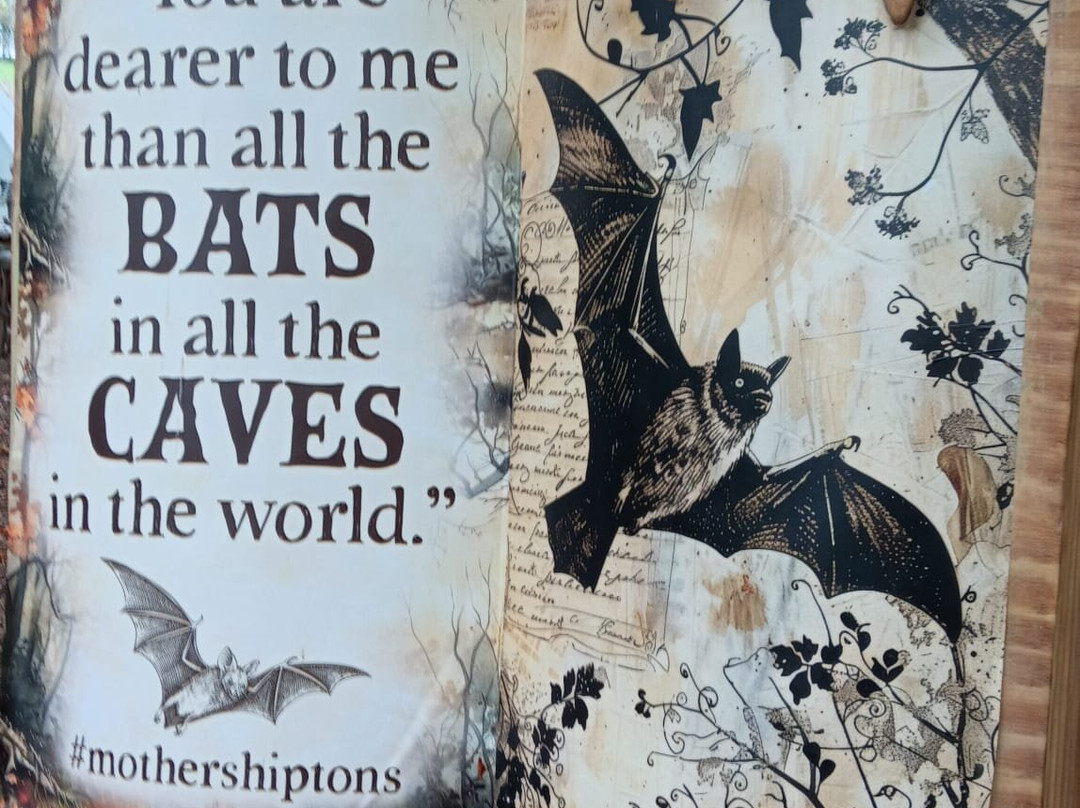 Mother Shipton's Cave-Knaresborough必去景点