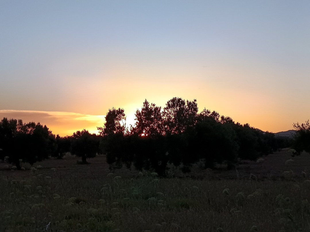Quad Hammamet-Bir Bou Rekba必去景点