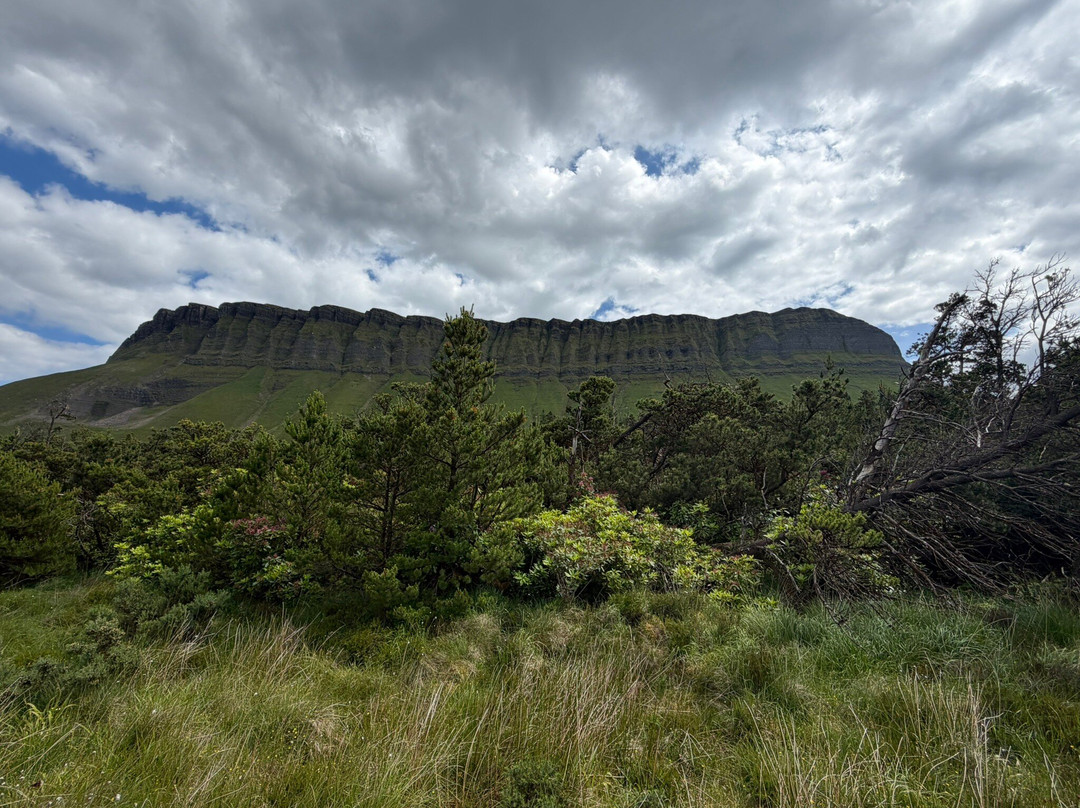 Benbulben Forest Walk-Drumcliff必去景点