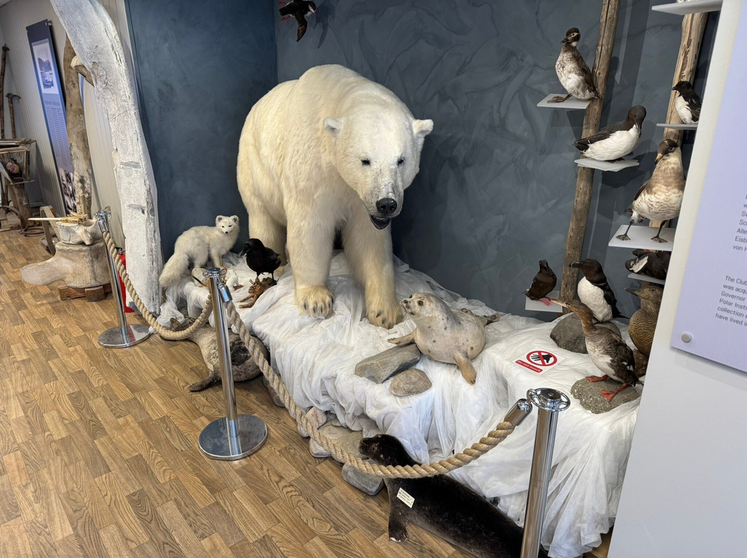 The Polar Bear Society-Hammerfest必去景点
