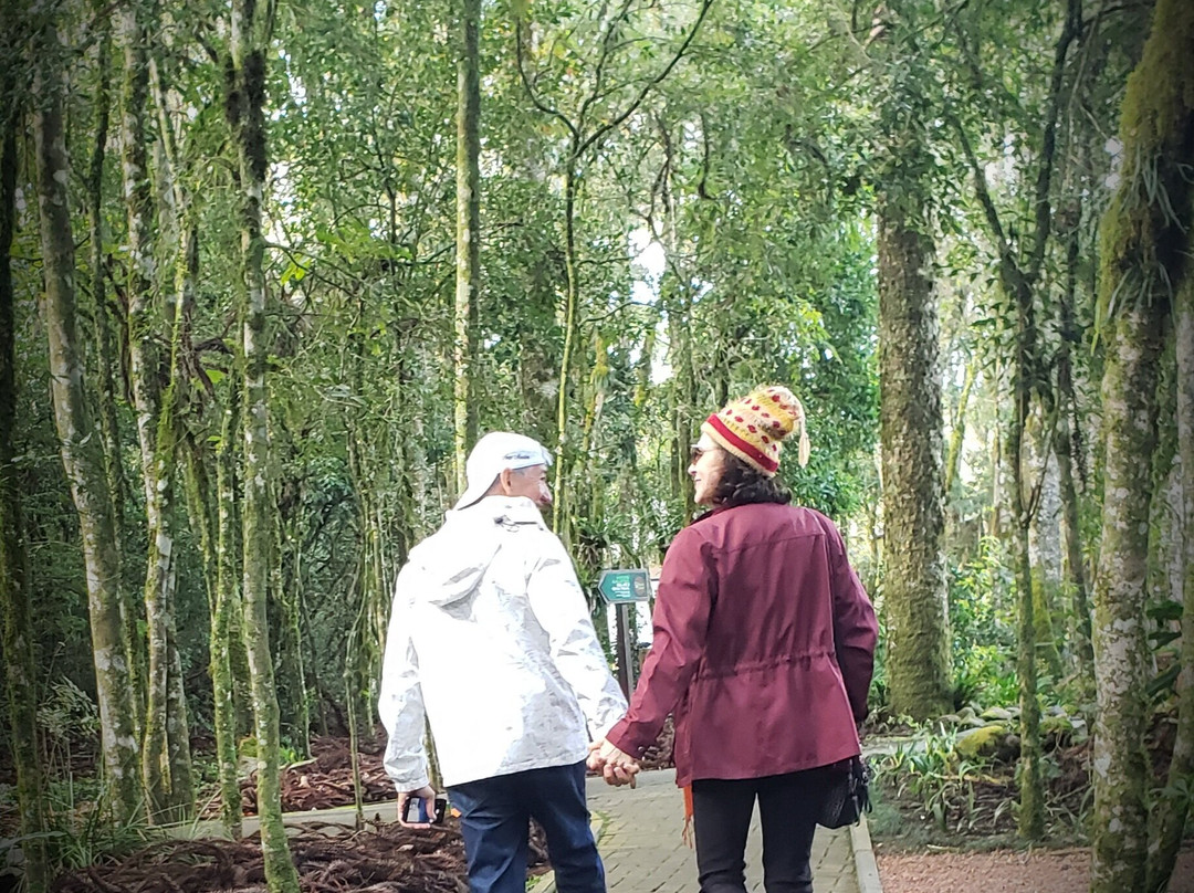 Parque do Caracol-卡内拉必去景点