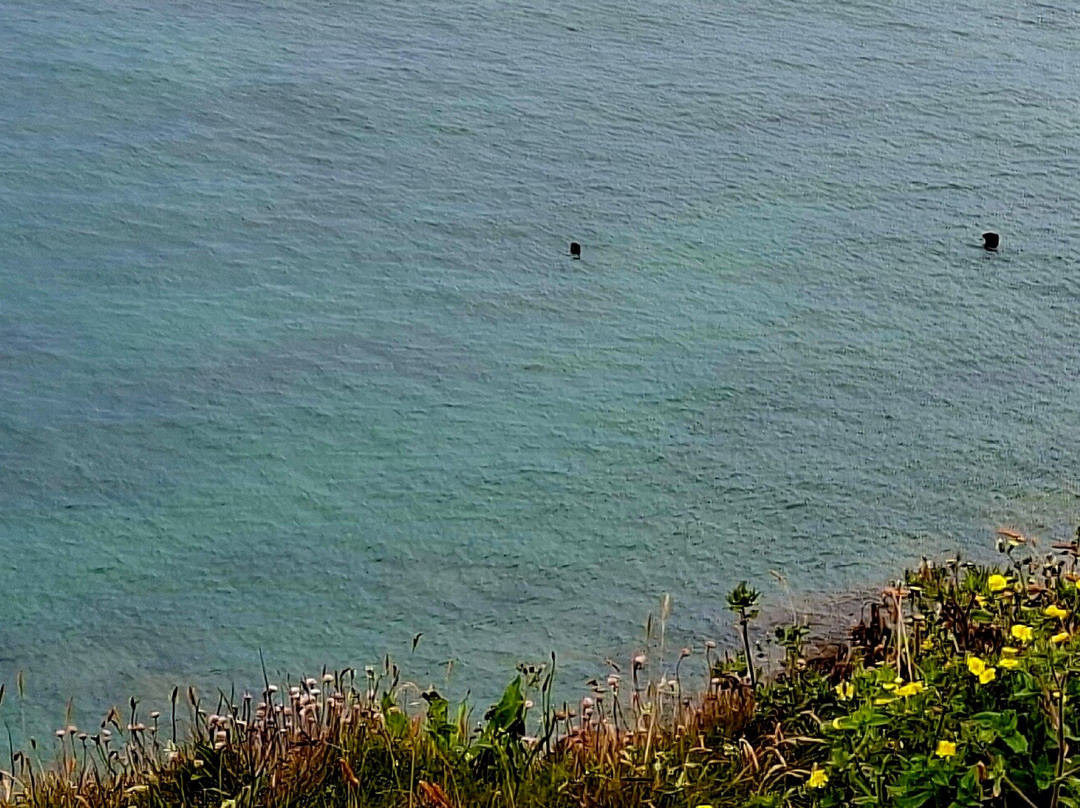 Cap Gris-Nez-Audinghen必去景点