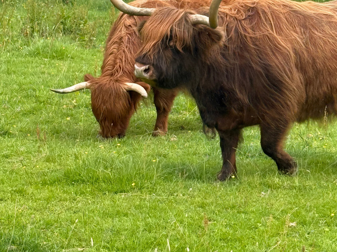 Glamis Castle-Glamis必去景点