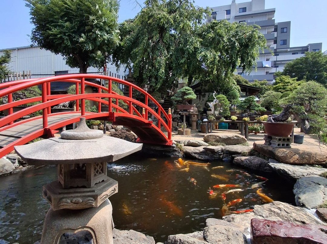 春花园 BONSAI 美术馆-江戸川区必去景点