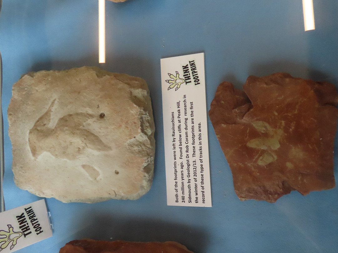 Sidmouth Museum-西德茅斯必去景点